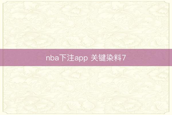 nba下注app 关键染料7