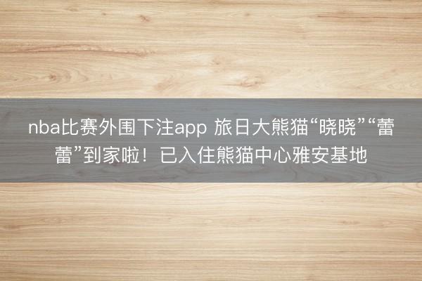nba比赛外围下注app 旅日大熊猫“晓晓”“蕾蕾”到家啦！已入住熊猫中心雅安基地