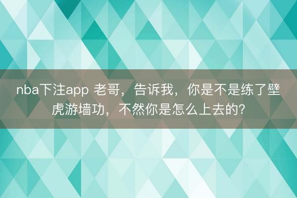 nba下注app 老哥，告诉我，你是不是练了壁虎游墙功，不然你是怎么上去的？
