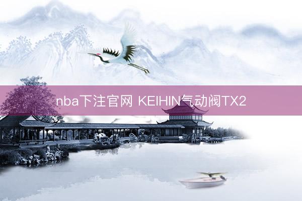 nba下注官网 KEIHIN气动阀TX2