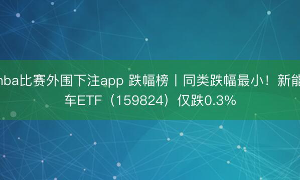 nba比赛外围下注app 跌幅榜丨同类跌幅最小!新能车ETF(159824)仅跌0.3%