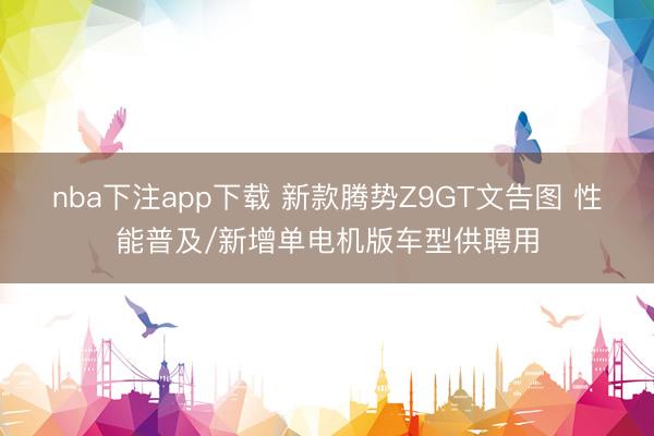 nba下注app下载 新款腾势Z9GT文告图 性能普及/新增单电机版车型供聘用