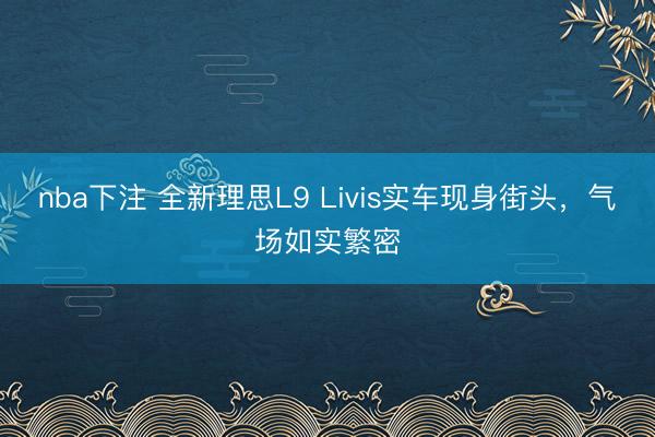 nba下注 全新理思L9 Livis实车现身街头,气场如实繁密