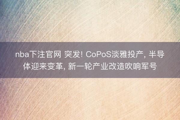 nba下注官网 突发! CoPoS淡雅投产， 半导体迎来变革， 新一轮产业改造吹响军号