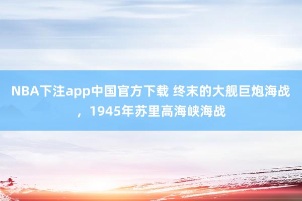 NBA下注app中国官方下载 终末的大舰巨炮海战,1945年苏里高海峡海战