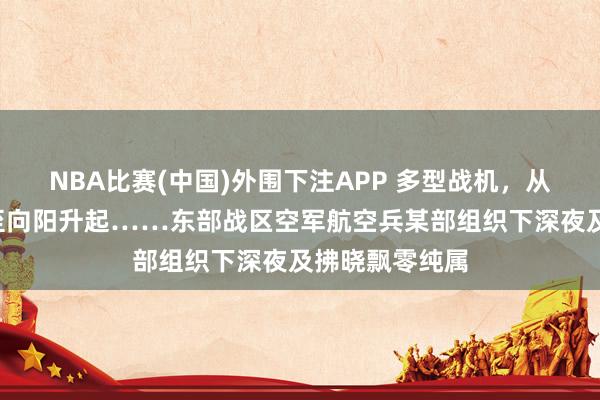 NBA比赛(中国)外围下注APP 多型战机,从下深夜“战”至向阳升起……东部战区空军航空兵某部组织下深夜及拂晓飘零纯属