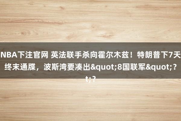 NBA下注官网 英法联手杀向霍尔木兹!特朗普下7天终末通牒,波斯湾要凑出"8国联军"?