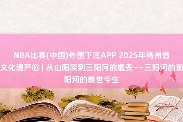 NBA比赛(中国)外围下注APP 2025年扬州省级地名文化遗产⑩ | 从山阳渎到三阳河的嬗变——三阳河的前世今生
