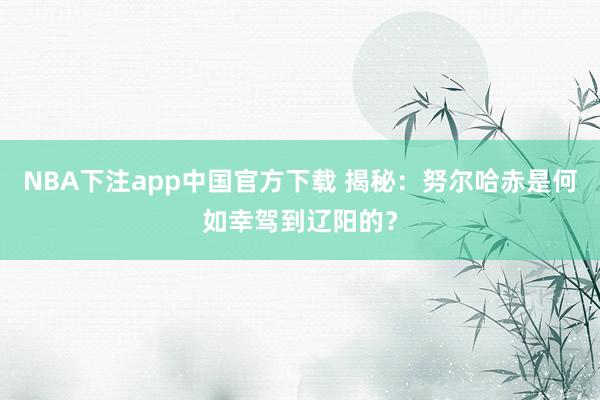 NBA下注app中国官方下载 揭秘：努尔哈赤是何如幸驾到辽阳的？