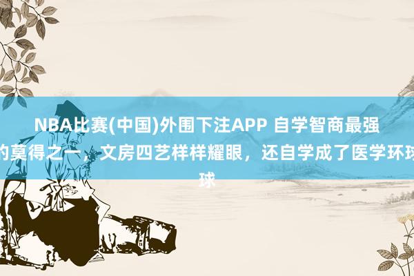 NBA比赛(中国)外围下注APP 自学智商最强的莫得之一,文房四艺样样耀眼,还自学成了医学环球