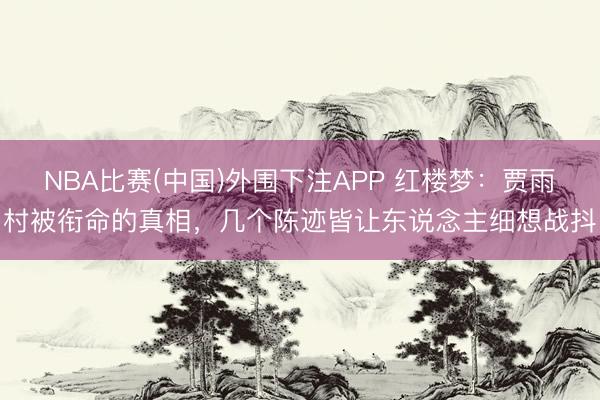 NBA比赛(中国)外围下注APP 红楼梦：贾雨村被衔命的真相，几个陈迹皆让东说念主细想战抖