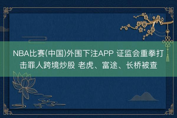 NBA比赛(中国)外围下注APP 证监会重拳打击罪人跨境炒股 老虎、富途、长桥被查