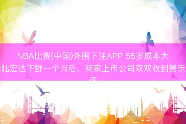 NBA比赛(中国)外围下注APP 55岁成本大佬陆宏达下野一个月后，两家上市公司双双收到警示函