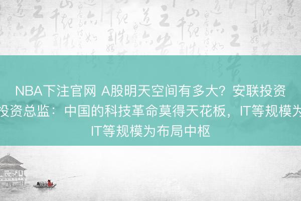 NBA下注官网 A股明天空间有多大？安联投资股票首席投资总监：中国的科技革命莫得天花板，IT等规模为布局中枢