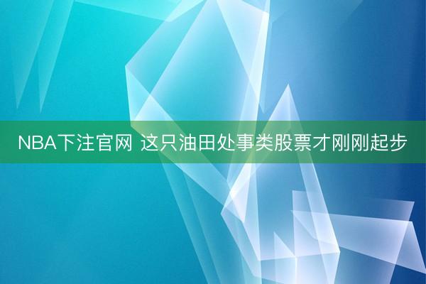 NBA下注官网 这只油田处事类股票才刚刚起步