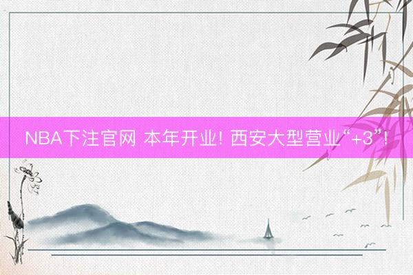 NBA下注官网 本年开业! 西安大型营业“+3”!