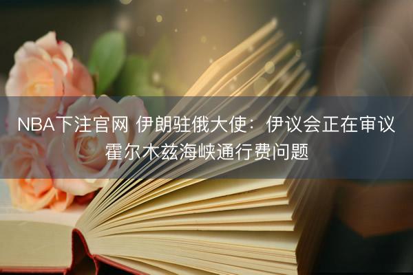 NBA下注官网 伊朗驻俄大使：伊议会正在审议霍尔木兹海峡通行费问题