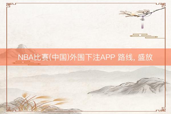 NBA比赛(中国)外围下注APP 路线， 盛放