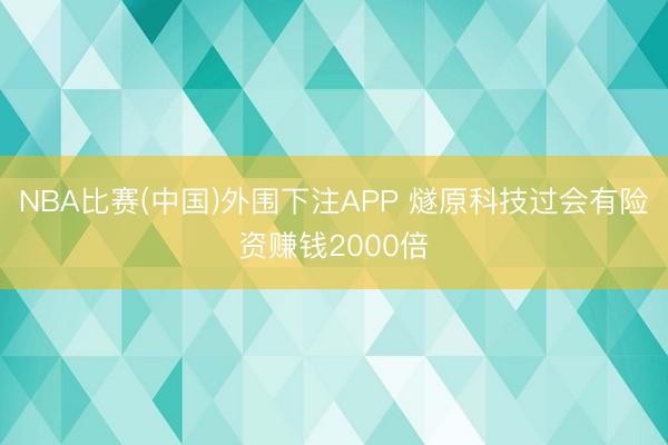NBA比赛(中国)外围下注APP 燧原科技过会有险资赚钱2000倍