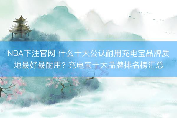 NBA下注官网 什么十大公认耐用充电宝品牌质地最好最耐用? 充电宝十大品牌排名榜汇总